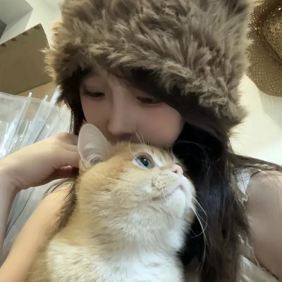 孔雀南飞